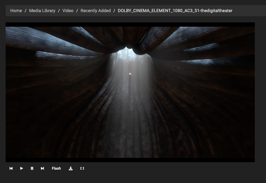 Video en la interfaz web